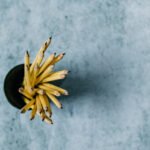8 Best Language Learning Apps to Master a New Language