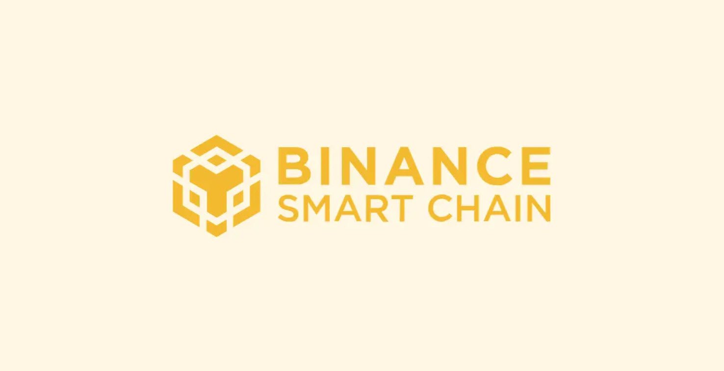 Binance Smart Chain (BSC)