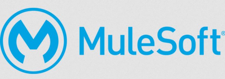 MuleSoft Anypoint Platform