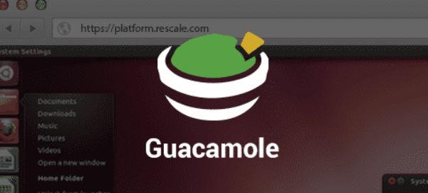 Apache Guacamole